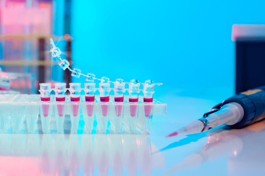 La classification mol&eacute;culaire des diff&eacute;rents cancers du sein