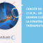 irm cancer sein